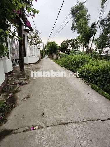 Bán 90m2 đất gần sân bay gia bình bắc ninh, ngõ ô tô thông ,giá đầu tư
