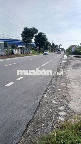 Nhượng 1.721m2 Đất mặt tiền QL61C – Phong Điền Giá 4,5 triệu/m2
