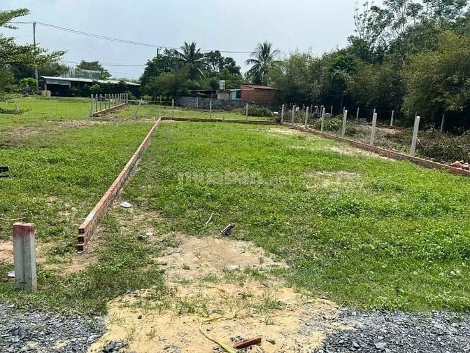 🏡 BÁN ĐẤT THỔ CƯ  – MẶT TIỀN ĐƯỜNG 5M, CỦ CHI – GIÁ TỐT!