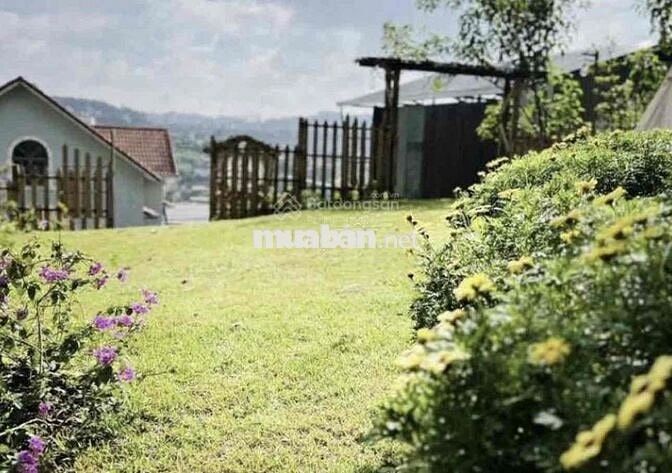 Không tiện quản lý bán lỗ 1200m2 view săn mây tặng căn nhà vườn Đà Lạt
