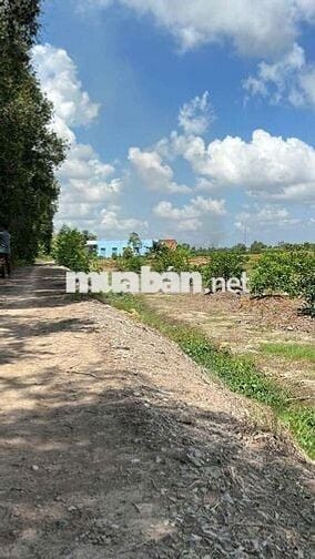 1000mv 21×50 MẶT TIỀN ,ĐƯỜNG ÔTÔ ,ĐƯỜNG THÔNG , THỦ THỪA LONG AN