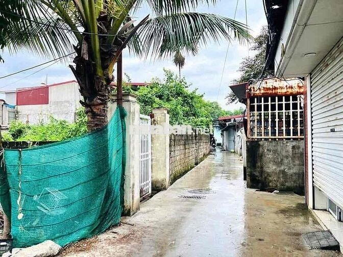 🔥 BÁN ĐẤT 190,6m² GẦN CHỢ HOA QUẢ SỞ DẦU- HỒNG BÀNG- HẢI PHÒNG – GIÁ C