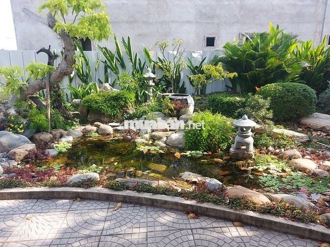 Đất SHR 90m² Nguyễn Hữu Trí, chỉ 850tr