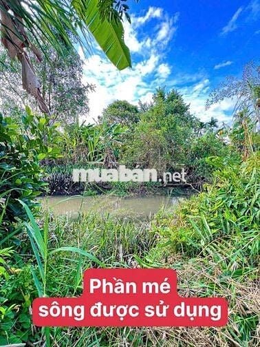 Nền Nghĩ Dưỡng Cách Quốc Lộ 61C 2km - X.Nhơn Nghĩa, TPCT