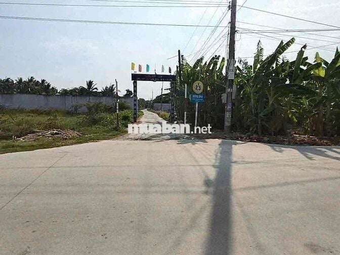 870m2 đất thổ cư + lúa đường xe hơi xe tải Bến lức Long An