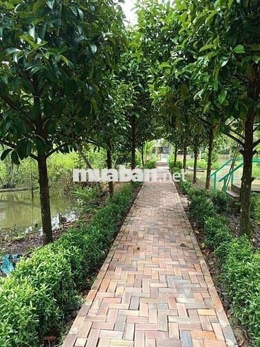 ĐẤT SIÊU ĐẸP - KẾ KHU DU LỊCH ÔNG ĐỀ