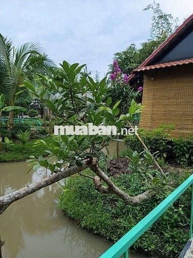 ĐẤT SIÊU ĐẸP - KẾ KHU DU LỊCH ÔNG ĐỀ