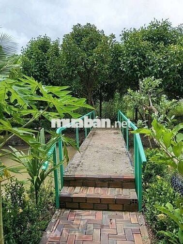 ĐẤT SIÊU ĐẸP - KẾ KHU DU LỊCH ÔNG ĐỀ