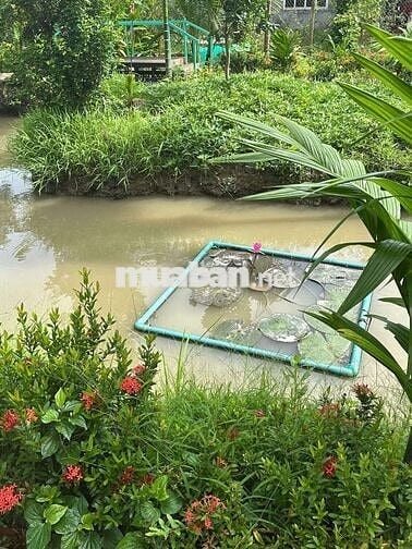 ĐẤT SIÊU ĐẸP - KẾ KHU DU LỊCH ÔNG ĐỀ