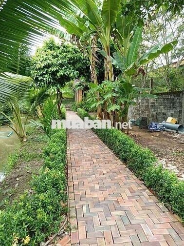 ĐẤT SIÊU ĐẸP - KẾ KHU DU LỊCH ÔNG ĐỀ