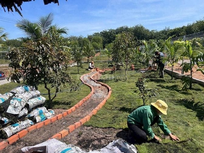 ĐẤT ĐẸP GIÁ TỐT – ĐT750 DẦU TIẾNG BÌNH DƯƠNG