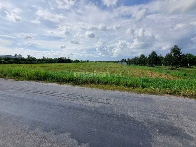 3600m2 đường nhựa. Ngay khu đô thị KCN Phước Đông. 2,6 tỷ 