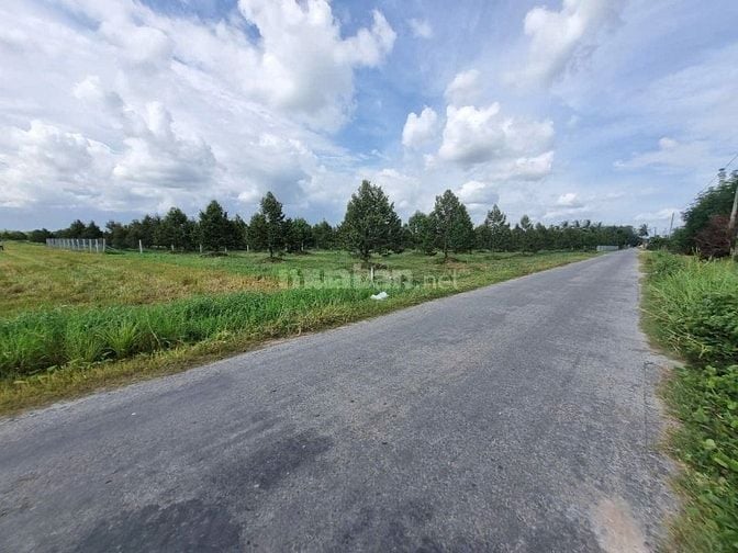 3600m2 đường nhựa. Ngay khu đô thị KCN Phước Đông. 2,6 tỷ 