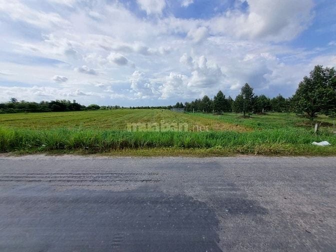 3600m2 đường nhựa. Ngay khu đô thị KCN Phước Đông. 2,6 tỷ 