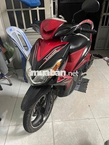 luvias 1 chủ mua mới