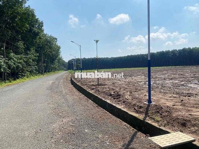 250m2 mặt tiền đường nhựa TDC Nha Bích sổ sẵn, công chứng ngay