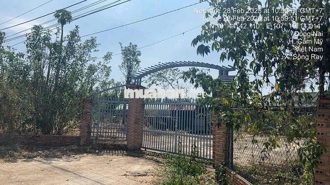 3,8HA ĐẤT ĐƯỜNG 72, CẨM MỸ, ĐỒNG NAI CHỈ 5XX/m2