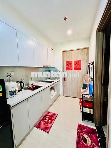 Cho thuê căn studio tại S2.10 Vinhomes Ocean Park 1