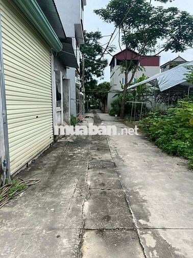 Cần Bán 58m thôn Ấp Tre, Tổ 10 Quang Minh, Mê Linh, HN. Đường thông,