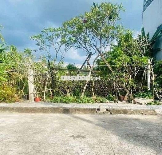 Bán mảnh đất Vĩnh Phú gần 269/100m odt. Ngang 12m x 22,4m