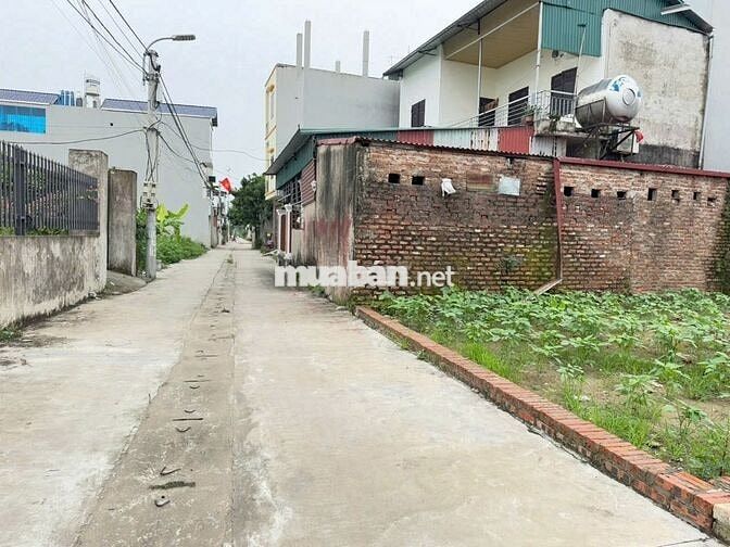 Bán đất đẹp thôn Ấp Tre, (Tổ 9) – xã Quang Minh, TP Hà Nội. Gần KCN,