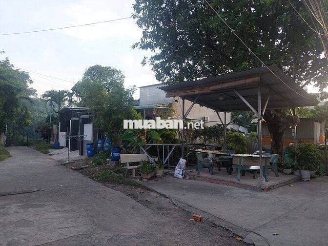 BÁN ĐẤT DĨ AN BÌNH DƯƠNG GIÁ MỀM