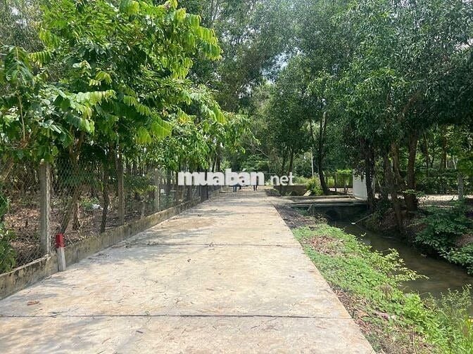 ĐỊNH CƯ NC NGOÀI, chủ gửi lô đất 790m2 Phước Thạnh, Củ Chi. 750 TRIỆU