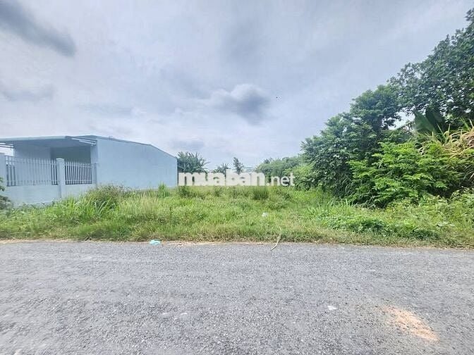 BÁN ĐẤT NGỘP NGAY CHỢ PHƯỚC THẠNH 10M X 50M, GIÁ 520 TRIỆU, CÓ BỚT LỘC