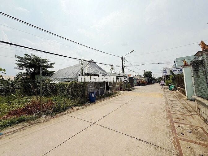 CHÍNH CHỦ bán gấp 314m2 1TY1 CÓ THỔ SHR  Đ. Số 56 Tân Phú Trung Củ Chi