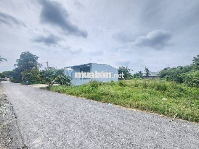 BÁN ĐẤT NGỘP NGAY CHỢ PHƯỚC THẠNH 10M X 50M, GIÁ 520 TRIỆU, CÓ BỚT LỘC
