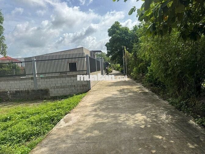 CHỦ NGỘP GỬI BÁN NHANH LÔ ĐẤT NGAY TT CỦ CHI 458M2. GIÁ BÁN 700 TRIỆU