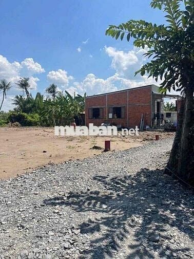 3 Nền F0 Giá Rẻ 4,5 x 22m . Ngay Mỹ Lộc Sổ Hồng Riêng Thể Hiện Đường