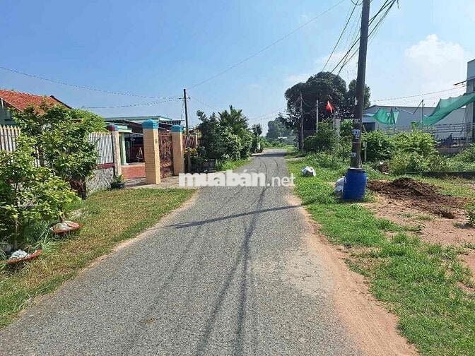(33)🔥 BÁN GẤP LÔ ĐẤT ĐẸP – TÂN THÔNG HỘI, CỦ CHI – 6x26,05M FULL THỔ –