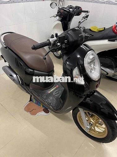 cần bán Scoopy 2021 võ cập remot cập Giá tốt