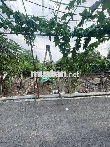 BÁN GẤP 67M2 ĐẤT BÌA LÀNG THÔN XUÂN TRẠCH, ĐÔNG ANH - SÁT VIN CỔ LOA.