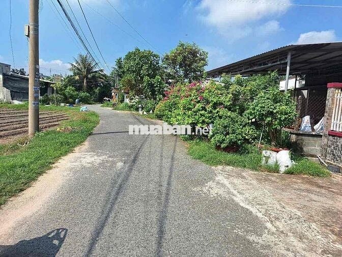 (33)🔥 BÁN GẤP LÔ ĐẤT ĐẸP – TÂN THÔNG HỘI, CỦ CHI – 6x26,05M FULL THỔ –