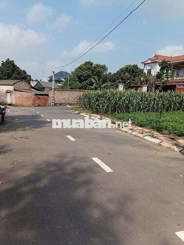 Bán Đất - Thái Lai(Minh Trí - Sóc Sơn) - 110M2 Full Thổ Cư - 2,7 Tỷ