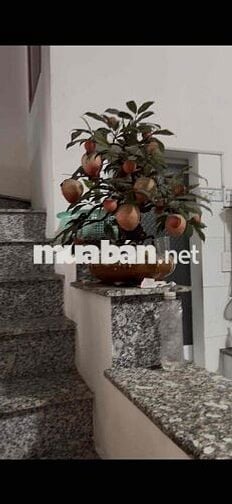 Bán Nhà SHC ngang 4 dài 12 đúc 1 trẹt 2 lầu sân phơi, đường Ô TÔ