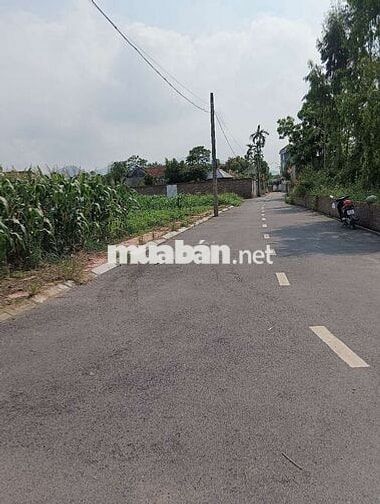 Bán Đất - Thái Lai(Minh Trí - Sóc Sơn) - 110M2 Full Thổ Cư - 2,7 Tỷ