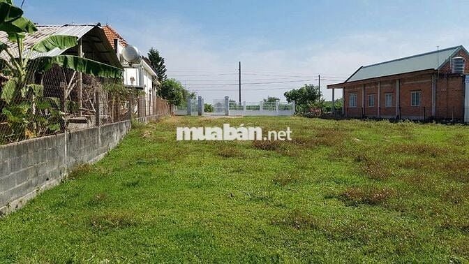 Lô đất đẹp 2300m² MT Đỗ Đăng Tuyển, Củ Chi