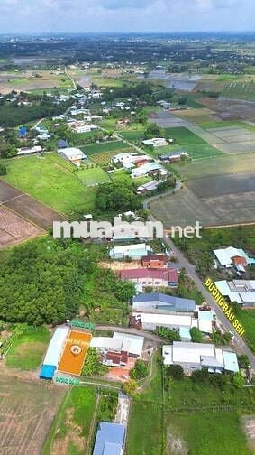 BÁN ĐẤT TẠI KP. Cây Xoài- P. Gò Dầu