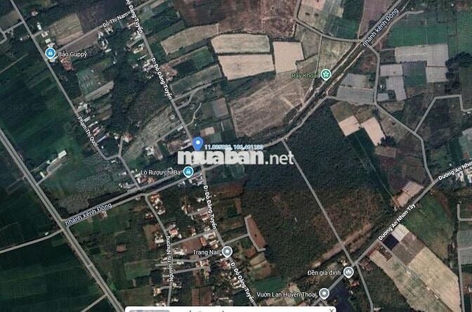Chính chủ bán đất mặt tiền Đỗ Đăng Tuyển, An Nhơn Tây
