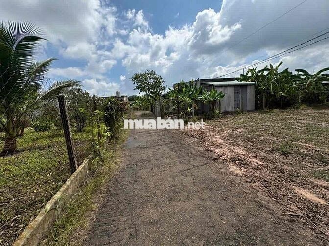 BÁN ĐẤT TẠI KP. Cây Xoài- P. Gò Dầu