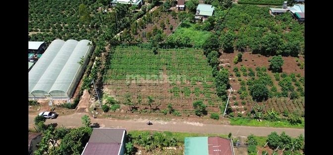 Bán rẻ đất 2 mặt đường liên xã giữa lòng dân cư 44m x 37m, 100m2 tc