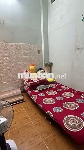 Nguyễn Bặc 40m² ngang 5,8m, sẵn dòng tiền Phường 3, Tân Bình – 4.15 tỷ