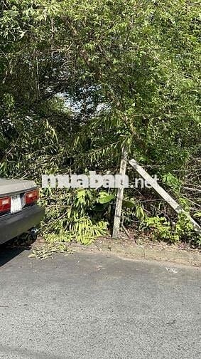 Đất hẻm 7m đường Nguyễn Thông, Bình Thuỷ, Cần Thơ 5x25 m thổ cư đủ