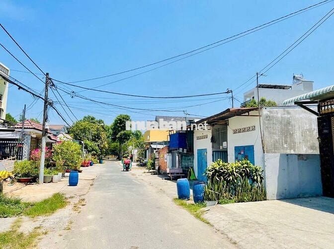đất THỔ CƯ ngay bò tơ hồng đào, 175m2 giá NGỘP 550TR Tân Thông Hội