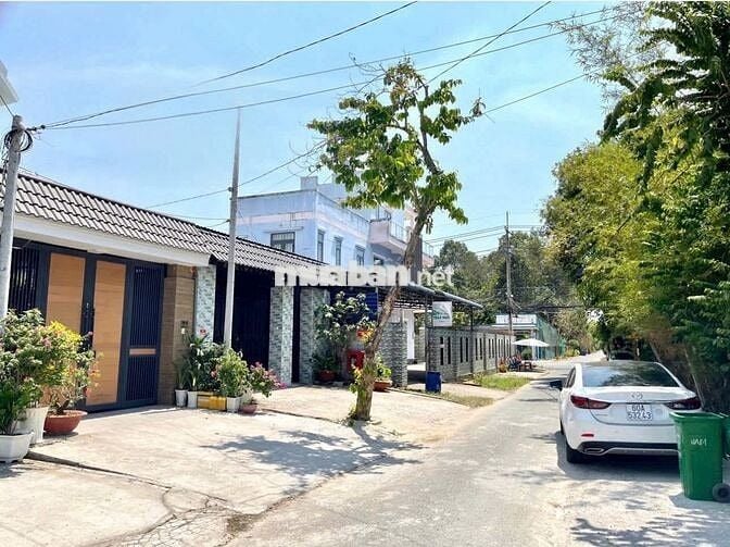 đất THỔ CƯ ngay bò tơ hồng đào, 175m2 giá NGỘP 550TR Tân Thông Hội