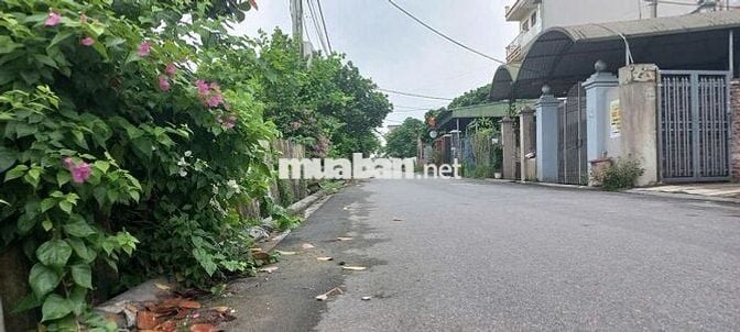 84m2 Nguyên Khê _ Phúc Thịnh – ngõ ô tô – – giá chỉ nhỉnh 4 tỷ 🔥