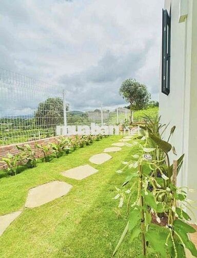 Chuyển nơi ở, bán lỗ lại lô đất 319m2 giá 699tr tặng nhà hiện đại